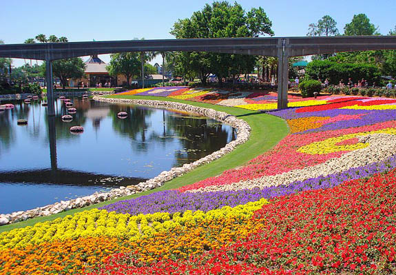 Orlando, Florida - USA, Walt Disney